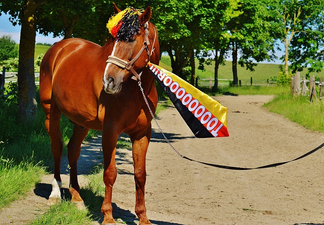 和极限的竞 和极限的竞