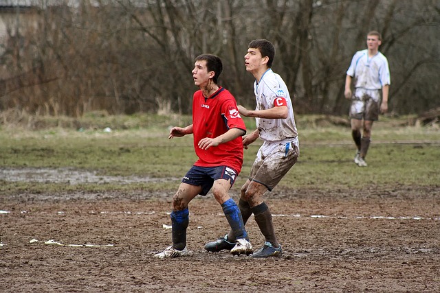 疑是两者兼 疑是两者兼