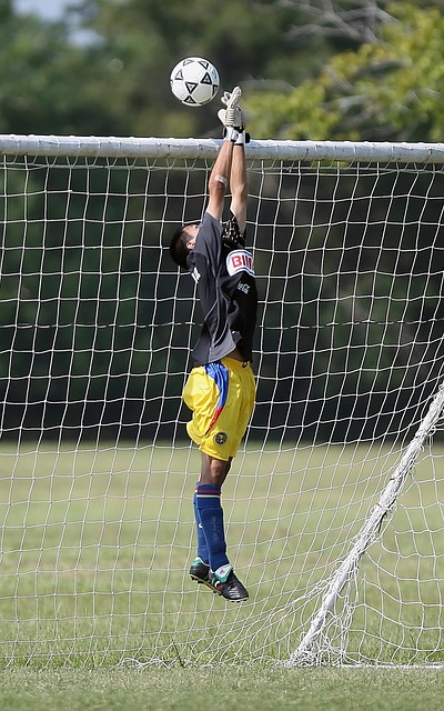 整体技术水 整体技术水