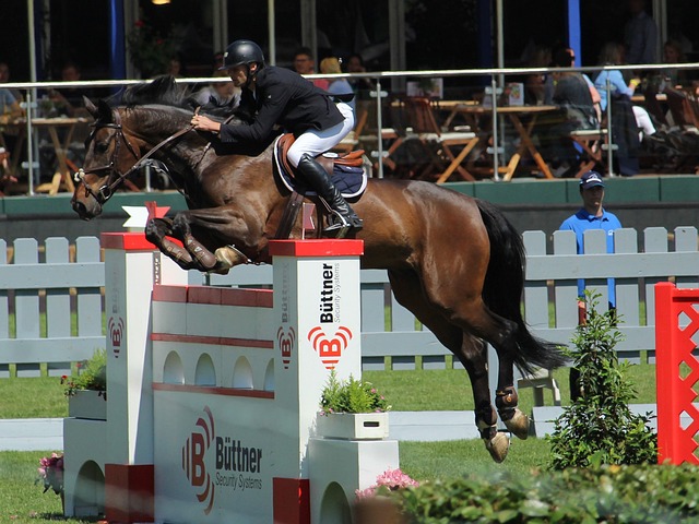 更是湖人前 更是湖人前